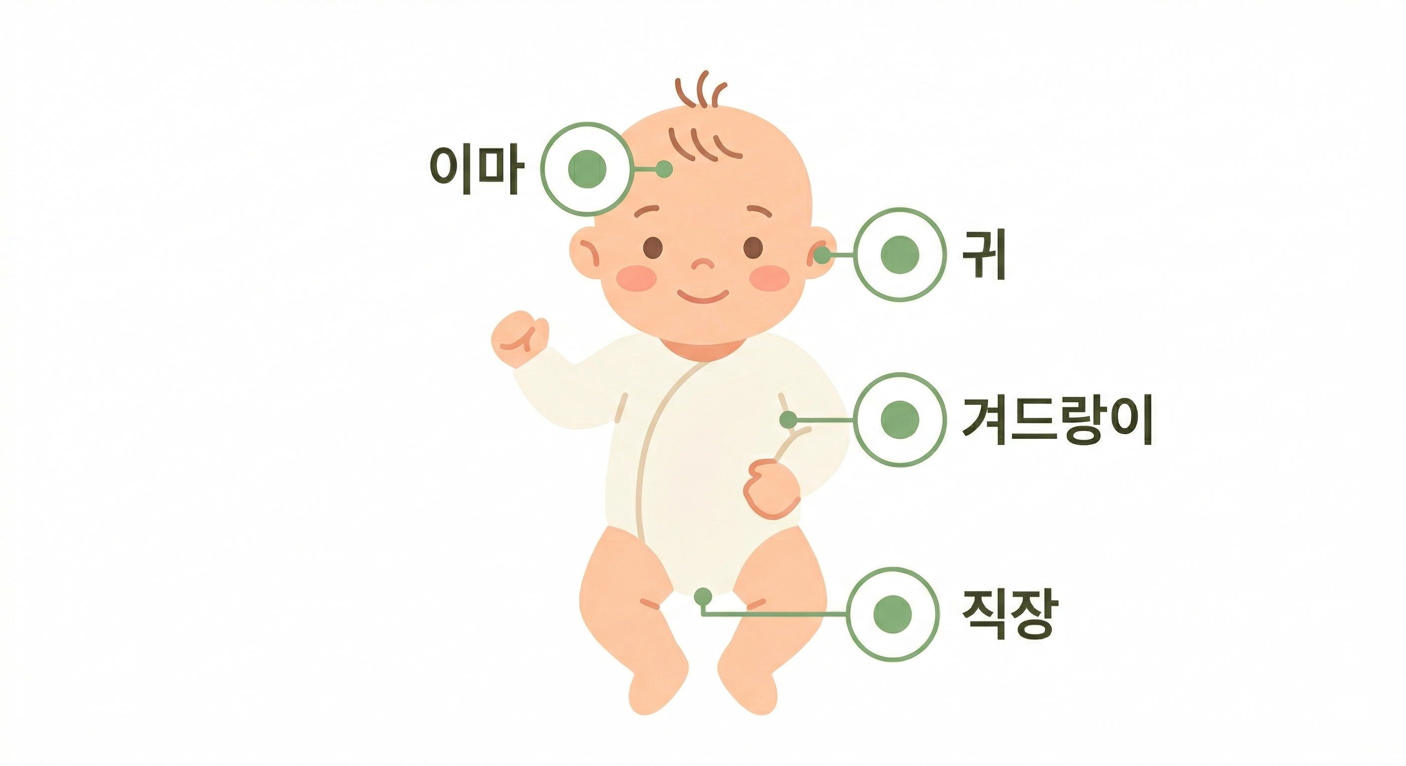 아기 체온 측정 부위별 방법 — 겨드랑이, 직장, 귀, 이마